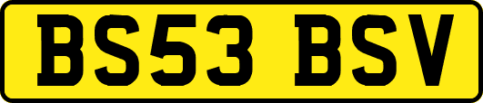 BS53BSV