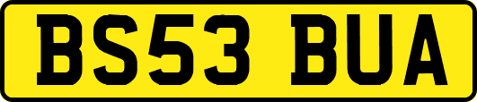 BS53BUA