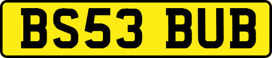 BS53BUB