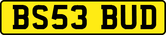 BS53BUD