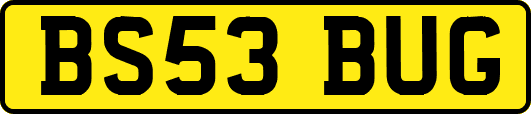 BS53BUG