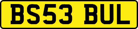 BS53BUL