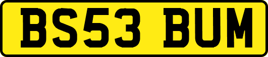BS53BUM