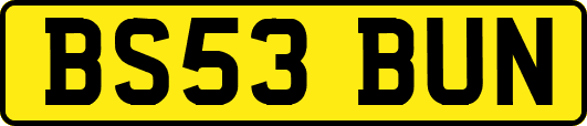 BS53BUN