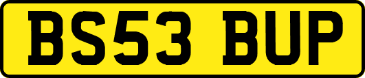 BS53BUP