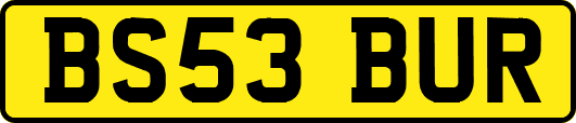 BS53BUR