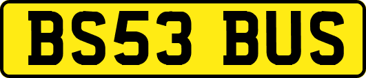 BS53BUS