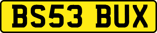 BS53BUX