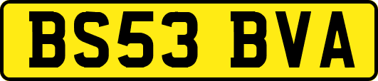 BS53BVA