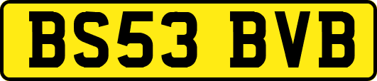BS53BVB