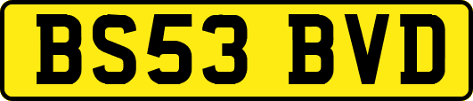 BS53BVD