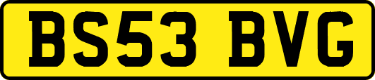 BS53BVG