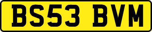 BS53BVM