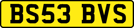 BS53BVS