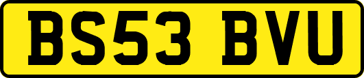 BS53BVU