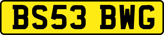BS53BWG