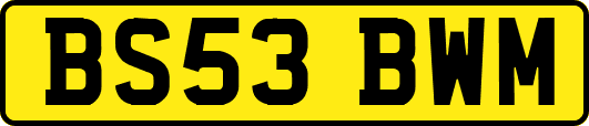 BS53BWM