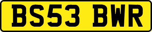 BS53BWR