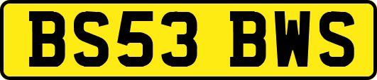BS53BWS