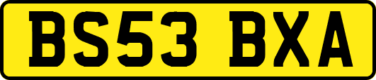 BS53BXA