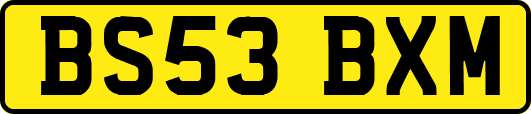 BS53BXM