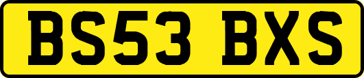 BS53BXS