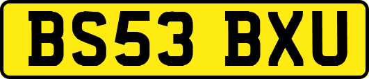 BS53BXU