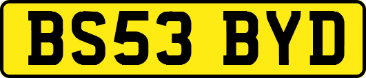 BS53BYD
