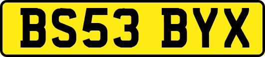 BS53BYX