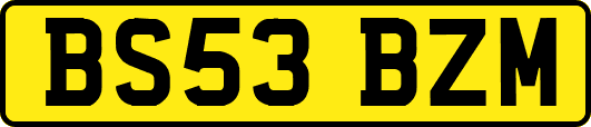 BS53BZM