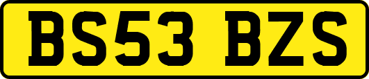 BS53BZS