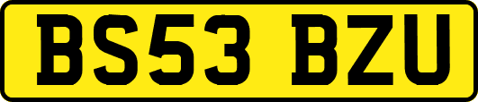 BS53BZU