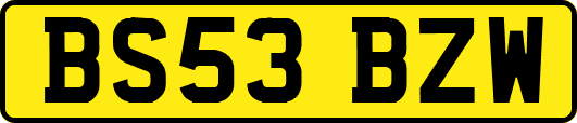 BS53BZW