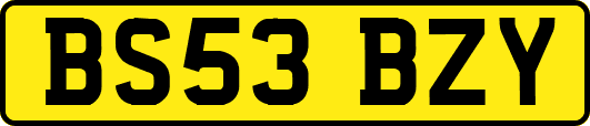 BS53BZY