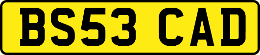 BS53CAD