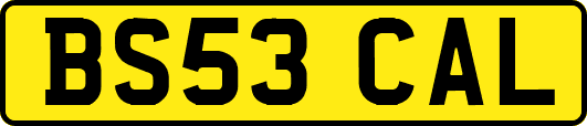 BS53CAL
