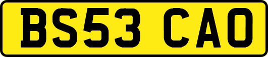 BS53CAO
