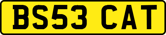 BS53CAT