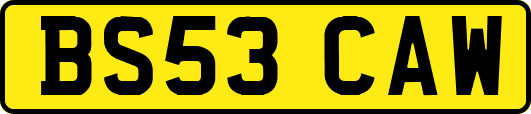 BS53CAW