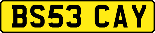 BS53CAY