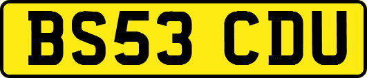 BS53CDU