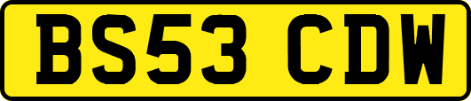 BS53CDW