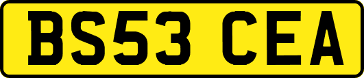 BS53CEA