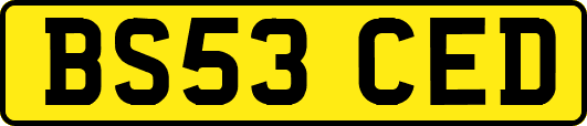 BS53CED