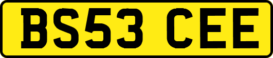 BS53CEE