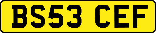 BS53CEF
