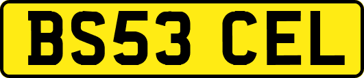 BS53CEL