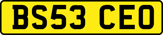 BS53CEO