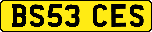BS53CES
