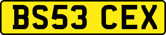 BS53CEX